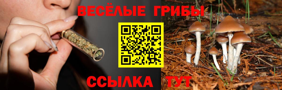 Галлюциногенные грибы MAGIC MUSHROOMS Владикавказ